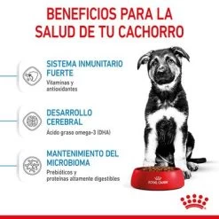 Royal Canin Maxi Puppy -Perros Gatos Suministros Tienda rc spt dry maxipuppy cv 3 es es 6