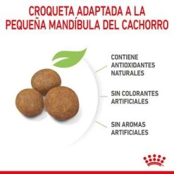 Royal Canin Maxi Puppy -Perros Gatos Suministros Tienda rc spt dry maxipuppy cv 4 es es 7