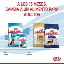 Royal Canin Maxi Puppy -Perros Gatos Suministros Tienda rc spt dry maxipuppy cv 5 es es 2