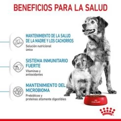 Royal Canin Medium Starter -Perros Gatos Suministros Tienda rc spt dry mediumstart cv 3 es es 8