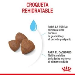 Royal Canin Medium Starter -Perros Gatos Suministros Tienda rc spt dry mediumstart cv 4 es es 7