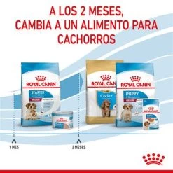 Royal Canin Medium Starter -Perros Gatos Suministros Tienda rc spt dry mediumstart cv 5 es es 6