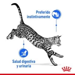 Royal Canin Indoor Sterilised En Gelatina -Perros Gatos Suministros Tienda rc spt wet indsterjelly cv 1 es es 2