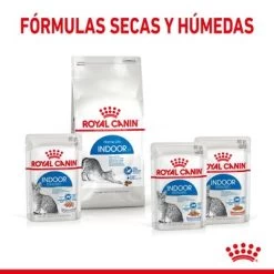 Royal Canin Indoor Sterilised En Gelatina -Perros Gatos Suministros Tienda rc spt wet indsterjelly cv 4 es es 8