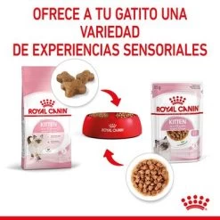 Royal Canin Kitten Instinctive En Salsa 20 Royal Canin Kitten Instinctive En Salsa -Perros Gatos Suministros Tienda rc spt wet kitten cig cv 4 es es 1 1