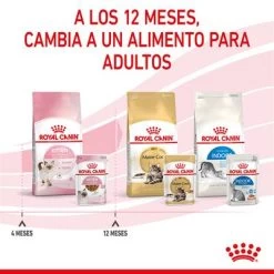Royal Canin Kitten Instinctive En Salsa 22 Royal Canin Kitten Instinctive En Salsa -Perros Gatos Suministros Tienda rc spt wet kitten cig cv 8 es es 1 6