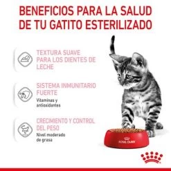 Royal Canin Sterilised Kitten En Salsa -Perros Gatos Suministros Tienda rc spt wet kittenster cig cv 3 es es 4