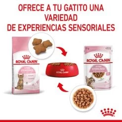 Royal Canin Sterilised Kitten En Salsa -Perros Gatos Suministros Tienda rc spt wet kittenster cig cv 4 es es 7