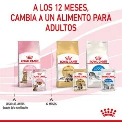 Royal Canin Sterilised Kitten En Salsa -Perros Gatos Suministros Tienda rc spt wet kittenster cig cv 8 es es 1