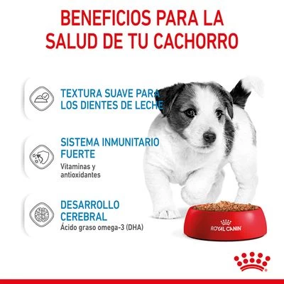 Royal Canin Mini Puppy En Salsa Para Perros 8 Royal Canin Mini Puppy En Salsa Para Perros - Imagen 6