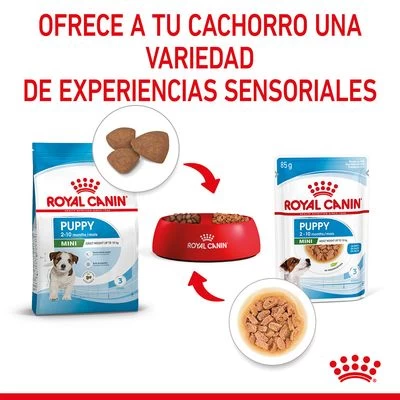 Royal Canin Mini Puppy En Salsa Para Perros 9 Royal Canin Mini Puppy En Salsa Para Perros - Imagen 7