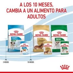 Royal Canin Mini Puppy En Salsa Para Perros 23 Royal Canin Mini Puppy En Salsa Para Perros -Perros Gatos Suministros Tienda rc spt wet minipuppy cv 8 es es 5
