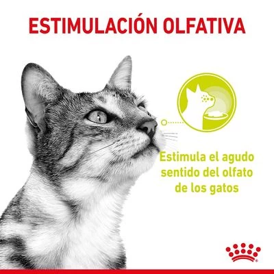 Royal Canin Sensory En Salsa - Pack Mixto 6 Royal Canin Sensory En Salsa - Pack Mixto - Imagen 4