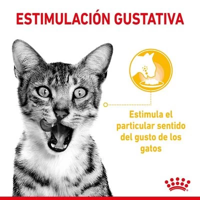 Royal Canin Sensory En Salsa - Pack Mixto 7 Royal Canin Sensory En Salsa - Pack Mixto - Imagen 5