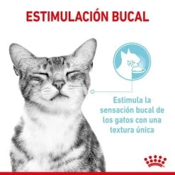 Royal Canin Sensory En Salsa - Pack Mixto 13 Royal Canin Sensory En Salsa - Pack Mixto -Perros Gatos Suministros Tienda rc spt wet sensmultipack cv 3 es es 7