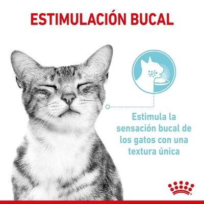 Royal Canin Sensory En Salsa - Pack Mixto 8 Royal Canin Sensory En Salsa - Pack Mixto - Imagen 6