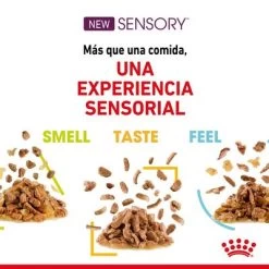 Royal Canin Sensory En Salsa - Pack Mixto 10 Royal Canin Sensory En Salsa - Pack Mixto -Perros Gatos Suministros Tienda rc spt wet sensmultipack cv 4 es es 4