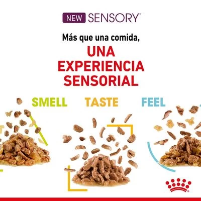 Royal Canin Sensory En Salsa - Pack Mixto 5 Royal Canin Sensory En Salsa - Pack Mixto - Imagen 3
