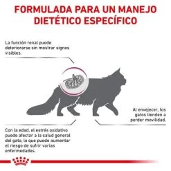 Royal Canin Veterinary Feline Early Renal -Perros Gatos Suministros Tienda rc vet dry catearlyrenal cv eretailkit 2 es es 1