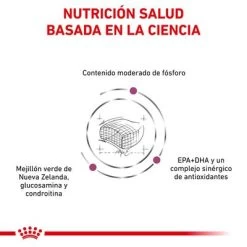 Royal Canin Veterinary Feline Early Renal -Perros Gatos Suministros Tienda rc vet dry catearlyrenal cv eretailkit 3 es es 6
