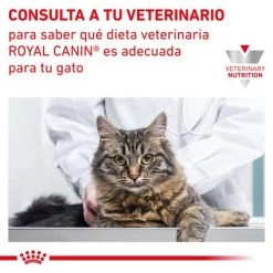 Royal Canin Veterinary Feline Early Renal -Perros Gatos Suministros Tienda rc vet dry catearlyrenal cv eretailkit 9 es es 7