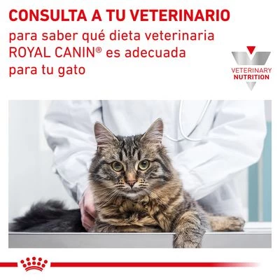 Royal Canin Veterinary Canine Recovery Mousse Perros Y Gatos 8 Royal Canin Veterinary Canine Recovery Mousse Perros Y Gatos - Imagen 6