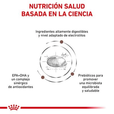 Royal Canin Veterinary Canine Gastro Intestinal Pienso Para Perros 5 Royal Canin Veterinary Canine Gastro Intestinal Pienso Para Perros - Imagen 3