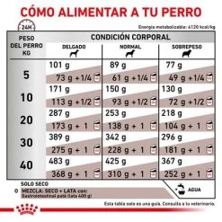 Royal Canin Veterinary Canine Gastro Intestinal Pienso Para Perros 14 Royal Canin Veterinary Canine Gastro Intestinal Pienso Para Perros -Perros Gatos Suministros Tienda rc vet dry doggastro cv eretailkit 6 es es 0