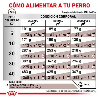Royal Canin Veterinary Canine Gastro Intestinal Pienso Para Perros 7 Royal Canin Veterinary Canine Gastro Intestinal Pienso Para Perros - Imagen 5