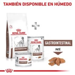 Royal Canin Veterinary Canine Gastro Intestinal Pienso Para Perros 16 Royal Canin Veterinary Canine Gastro Intestinal Pienso Para Perros -Perros Gatos Suministros Tienda rc vet dry doggastro cv eretailkit 8 es es 1
