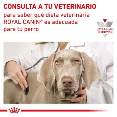 Royal Canin Veterinary Canine Gastro Intestinal Pienso Para Perros 10 Royal Canin Veterinary Canine Gastro Intestinal Pienso Para Perros - Imagen 8