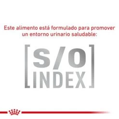 Royal Canin Veterinary Canine Skin Care Small Dog Pienso Para Perros -Perros Gatos Suministros Tienda rc vet dry dogskincaresd cv eretailkit 4 es es 8
