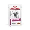 Royal Canin Veterinary Feline Early Renal -Perros Gatos Suministros Tienda rc vet wet catearlyrentsig mv eretailkit 1 de de 1