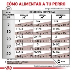 Royal Canin Veterinary Canine Gastrointestinal Mousse -Perros Gatos Suministros Tienda rc vet wet doggastro400g cv eretailkit 4 es es 7