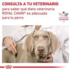 Royal Canin Veterinary Canine Gastrointestinal Mousse -Perros Gatos Suministros Tienda rc vet wet doggastro400g cv eretailkit 7 es es 9
