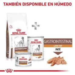 Royal Canin Veterinary Canine Gastrointestinal Low Fat Pienso Para Perros -Perros Gatos Suministros Tienda rc vhn gastrointestinallowfatdog cv eretailkit 8 es es pdf 7