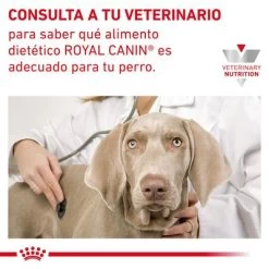 Royal Canin Veterinary Canine Gastrointestinal Low Fat Pienso Para Perros -Perros Gatos Suministros Tienda rc vhn gastrointestinallowfatdog cv eretailkit 9 es es pdf 0