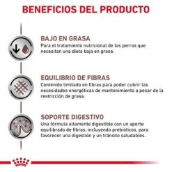 Royal Canin Veterinary Canine Gastrointestinal Low Fat Mousse 12 Royal Canin Veterinary Canine Gastrointestinal Low Fat Mousse -Perros Gatos Suministros Tienda rc vhn gastrointestinallowfatwet 420g cv 2 es es pdf 9