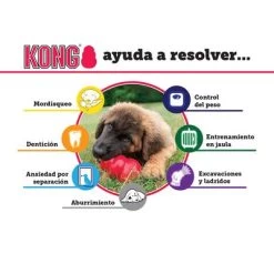 KONG Extreme Juguete Negro Para Perros -Perros Gatos Suministros Tienda solutions es 4