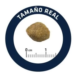 Advance Urinary Veterinary Diets Pienso Para Perros -Perros Gatos Suministros Tienda u02 surfnjixoddfuefsveldvuxbluvtlmpwzw 1521557342964 6