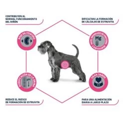 Advance Urinary Veterinary Diets Pienso Para Perros -Perros Gatos Suministros Tienda u 3 7