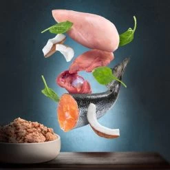 Purizon Adult 6 X 400 G Comida Húmeda Sin Cereales Para Perros -Perros Gatos Suministros Tienda zop 21 117 purizon nassfutter marketingboards lachs p5 1 1